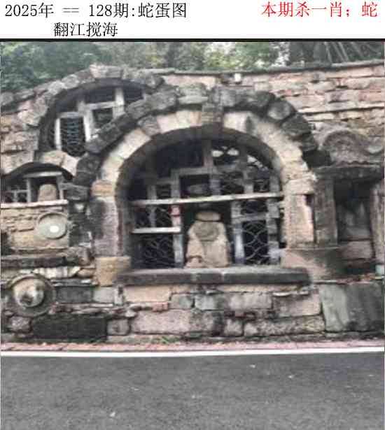 2025年128期 蛇蛋图