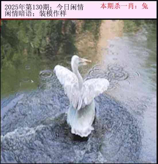 2025年130期 今日闲情