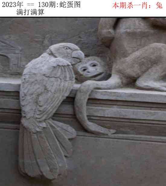 2025年130期 蛇蛋图