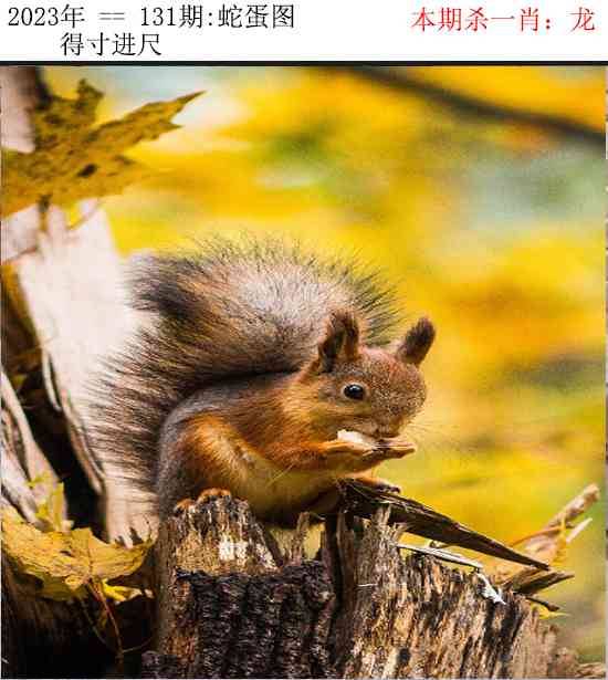 2025年131期 蛇蛋图