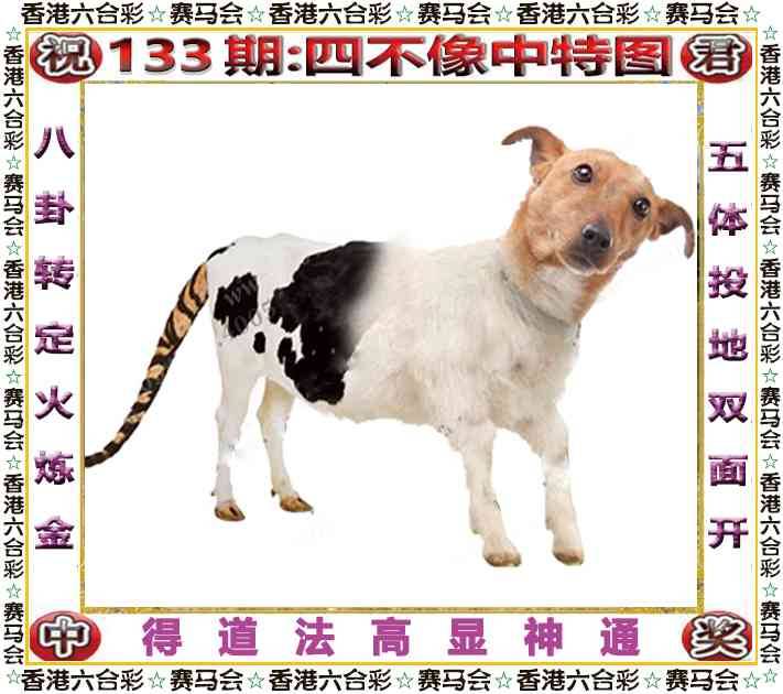 2025年133期 四不像中特图