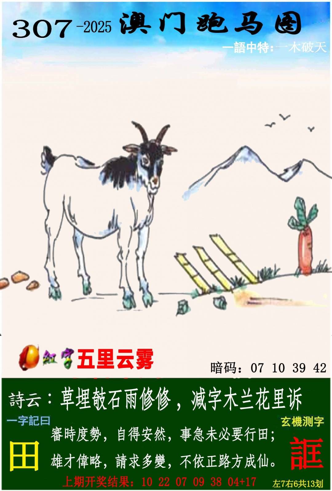 →→307期：澳门彩评论专帖←←