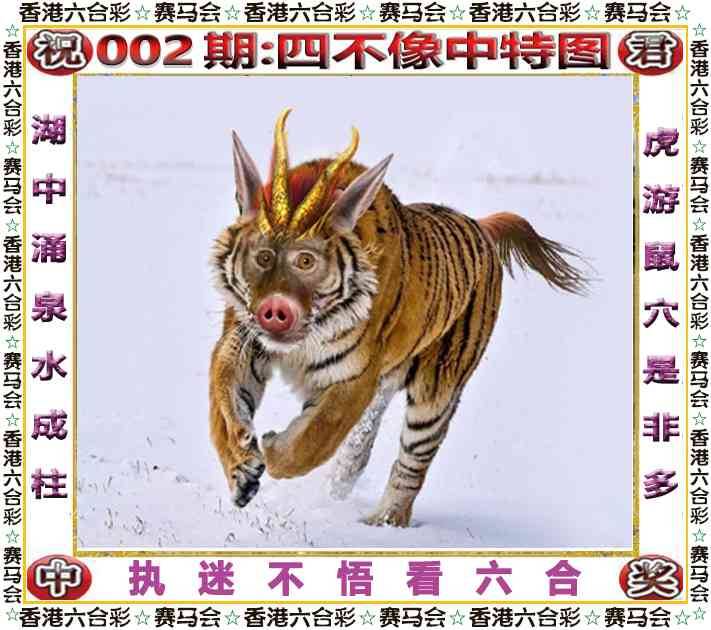 2026年002期 四不像中特图