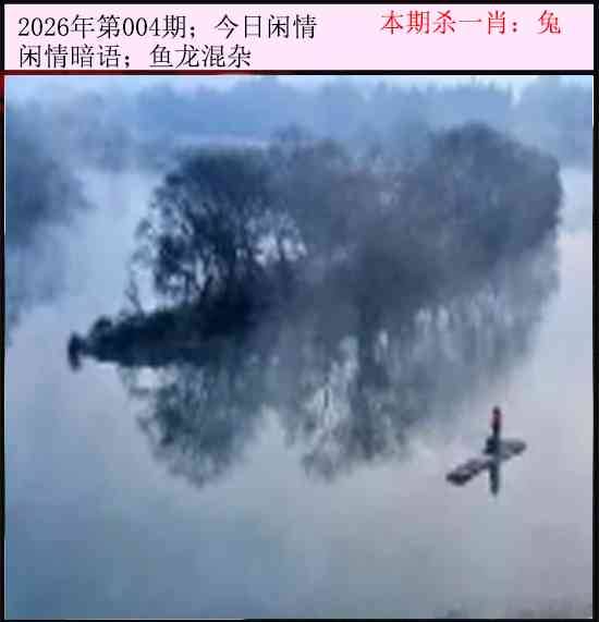 2026年004期 今日闲情