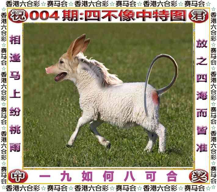 2026年004期 四不像中特图