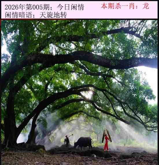 2026年005期 今日闲情
