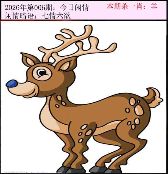 2026年006期 今日闲情