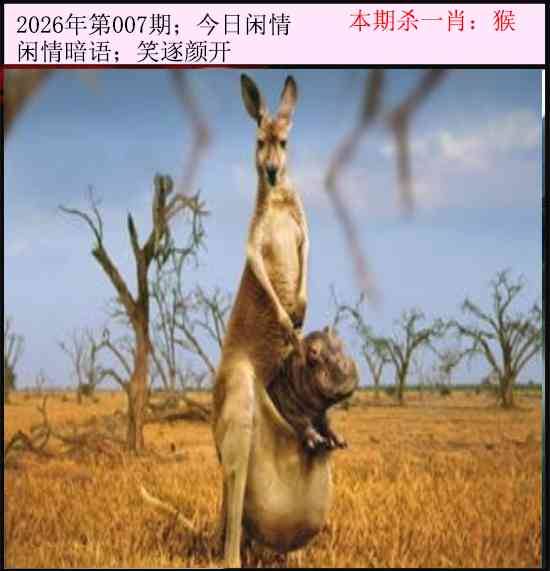 2026年007期 今日闲情