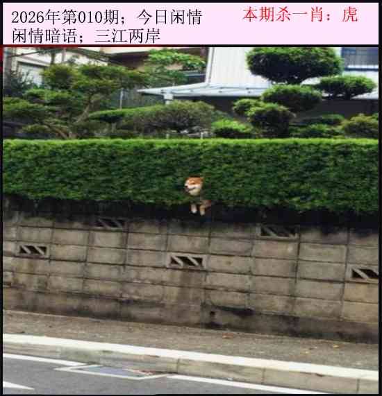 2026年010期 今日闲情
