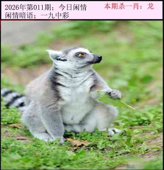 2026年011期 今日闲情
