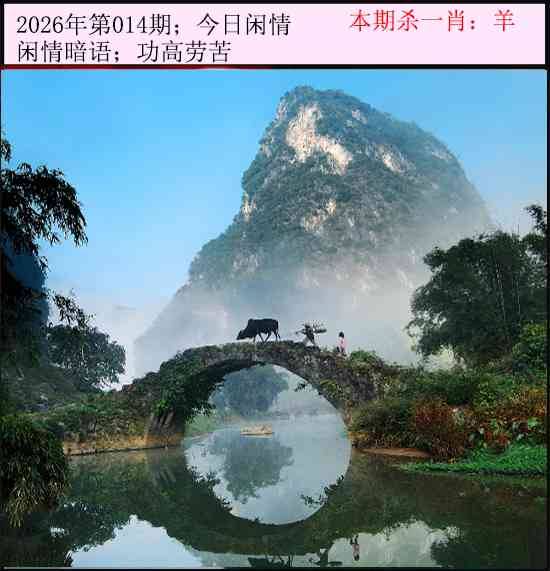 2026年014期 今日闲情