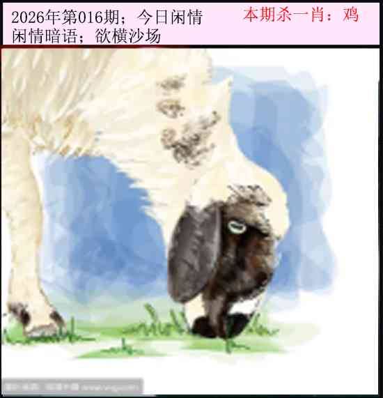 2026年016期 今日闲情