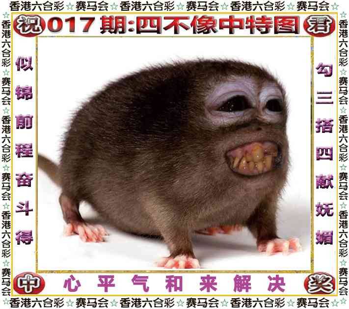 2026年017期 四不像中特图