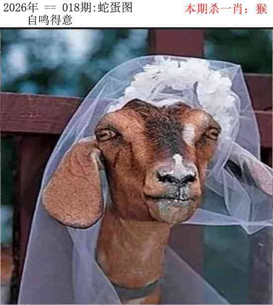 2026年018期 蛇蛋图
