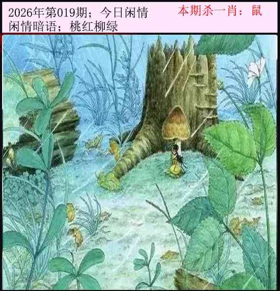 2026年019期 今日闲情