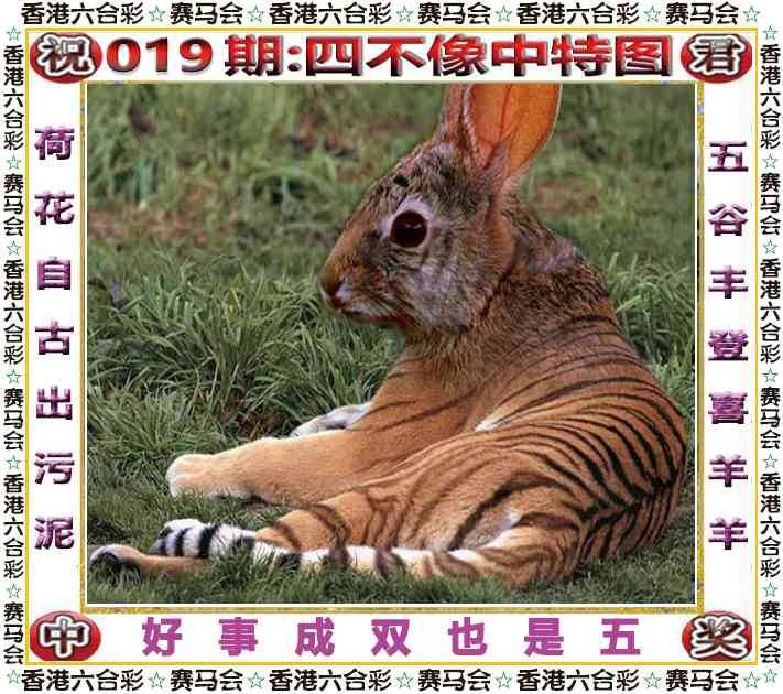 2026年019期 四不像中特图