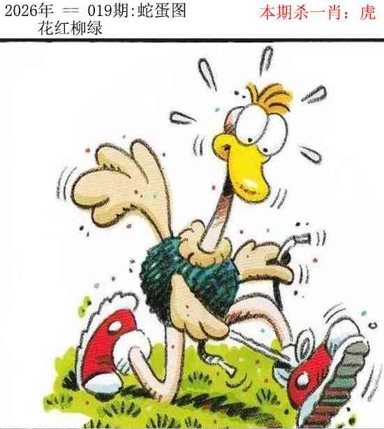 2026年019期 蛇蛋图