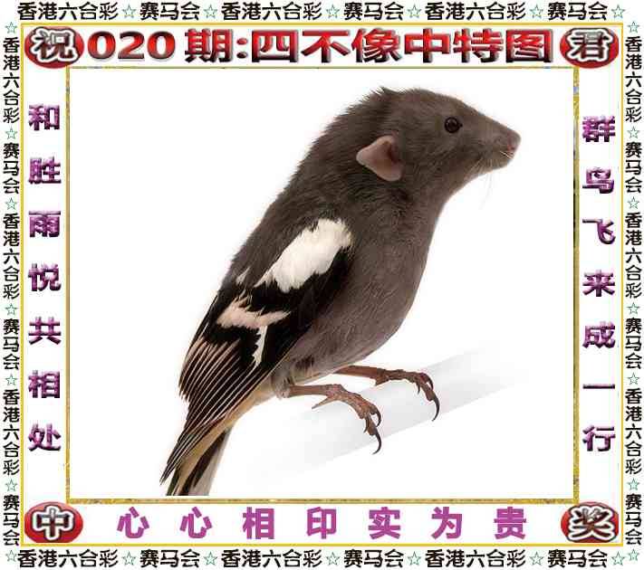 2026年020期 四不像中特图