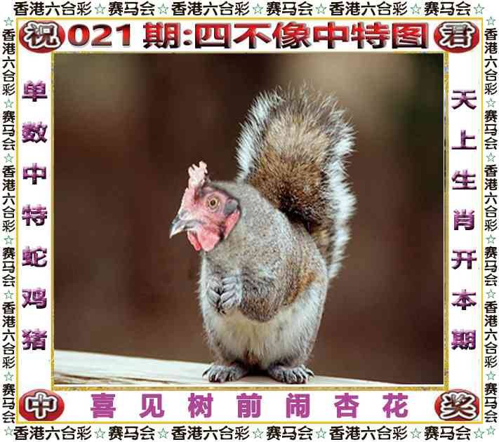 2026年021期 四不像中特图
