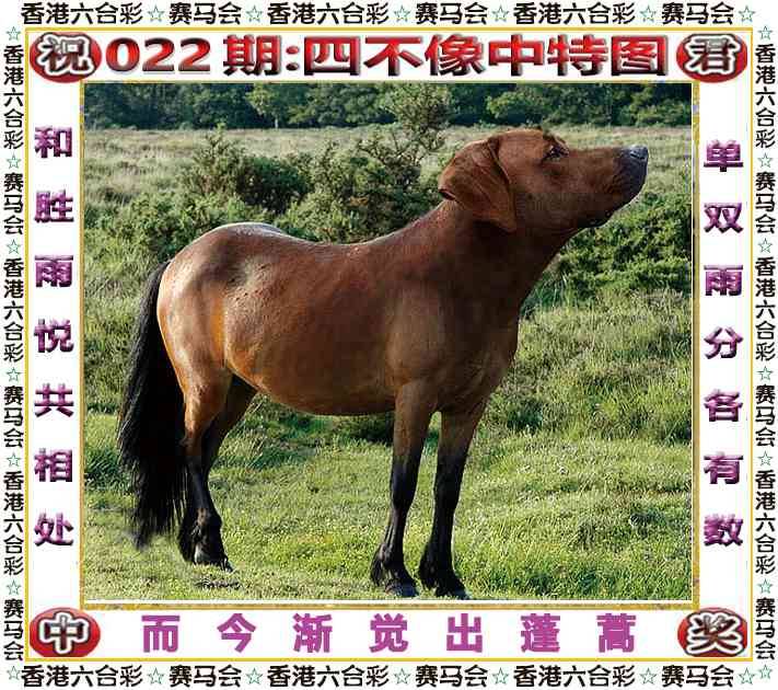 2026年022期 四不像中特图
