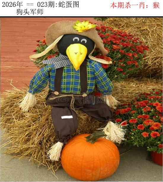 2026年023期 蛇蛋图