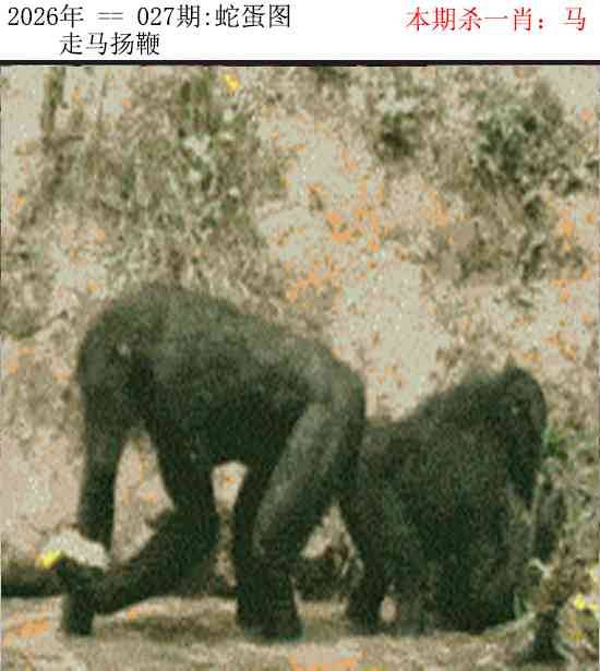 2026年027期 蛇蛋图