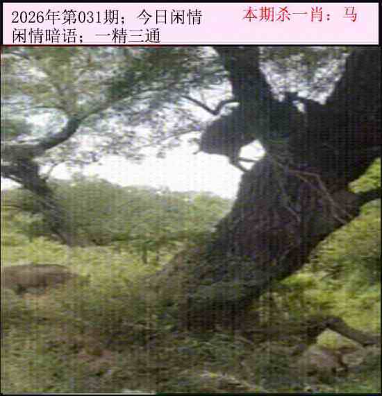 2026年031期 今日闲情