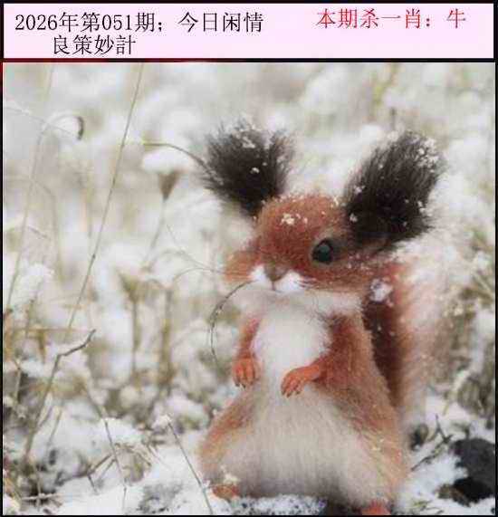 2026年051期 今日闲情