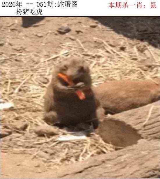 2026年051期 蛇蛋图