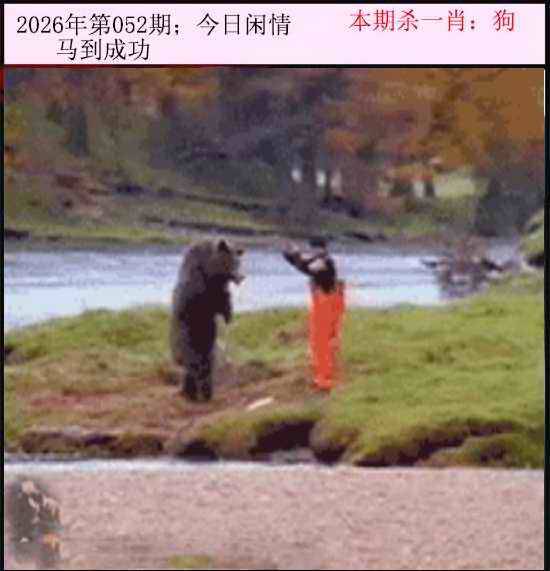 2026年052期 今日闲情