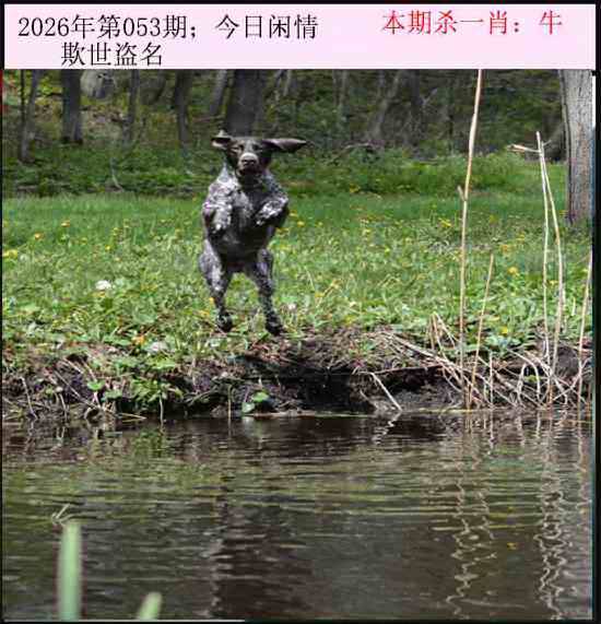 2026年053期 今日闲情