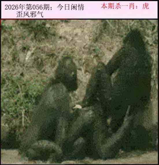 2026年056期 今日闲情