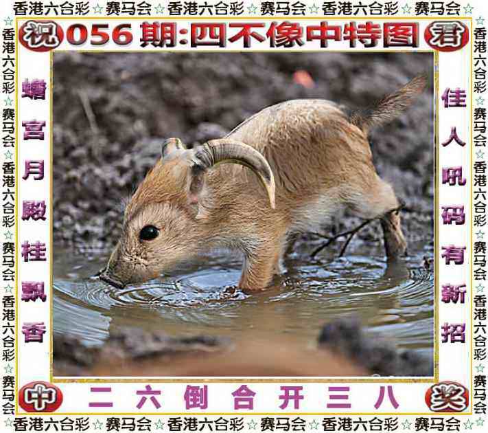 2026年056期 四不像中特图