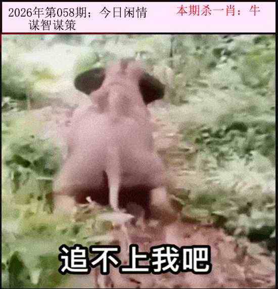 2026年058期 今日闲情