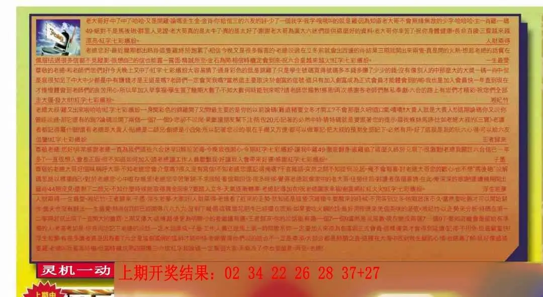 ����241�ڣ����Ų�����ר������
